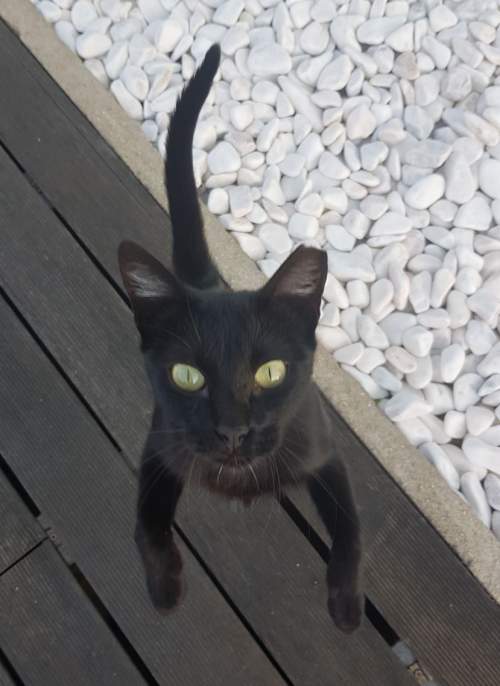 Screenshot_20200628-112112