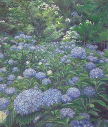 hydrangea garden-w